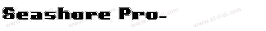 Seashore Pro字体转换